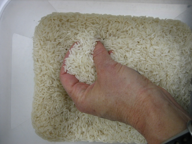 Photograph of Hand Therapy, focusing on Desensitization using Rice.